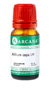 ALLIUM CEPA LM 20 Dilution