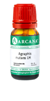 AGRAPHIS NUTANS LM 14 Dilution